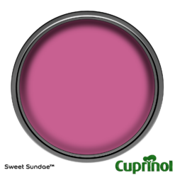 Cuprinol Garden Shades Sweet Sundae - 1L -Paint And Wallpaper Shop 12807071 1544949841160677