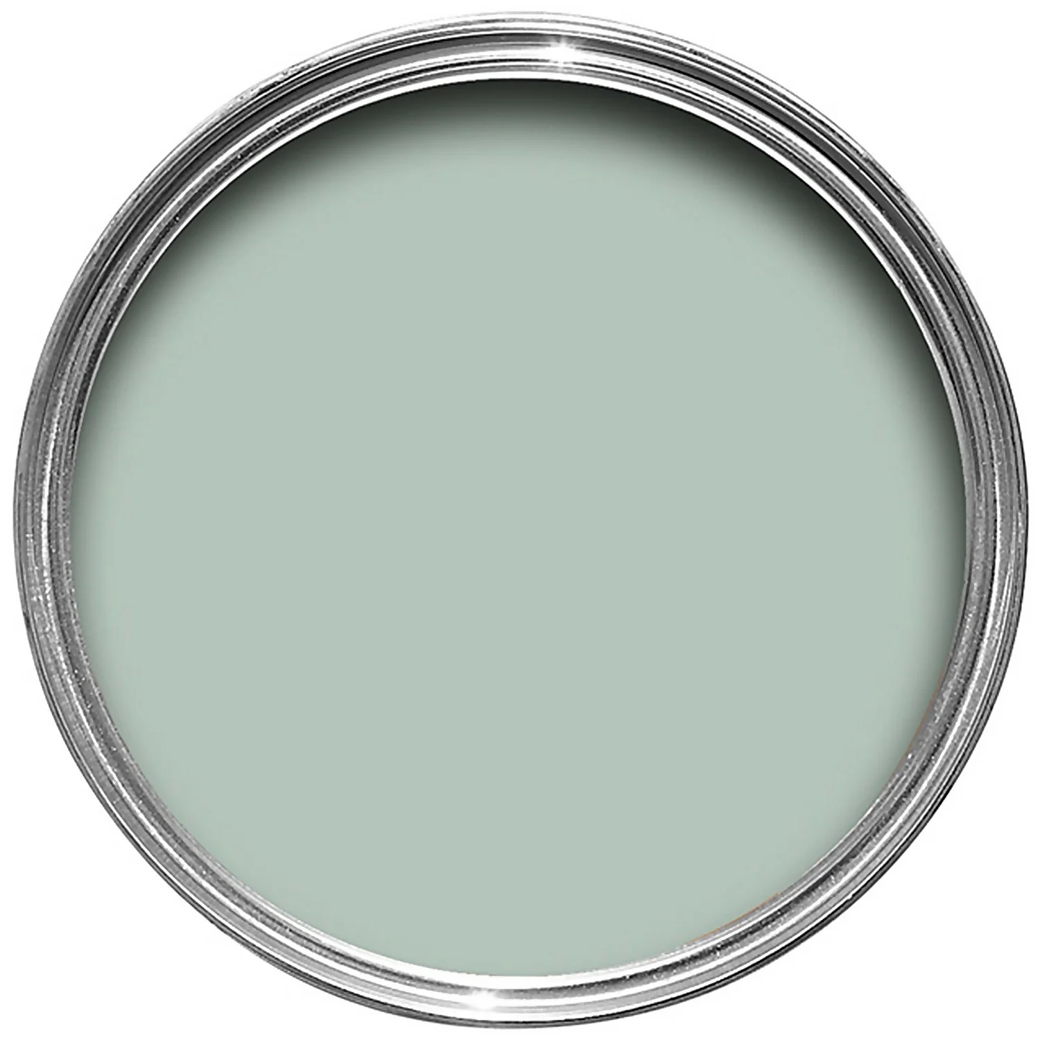 Farrow & Ball Exterior Masonry Paint Teresa's Green - 5L 4 Farrow & Ball Exterior Masonry Paint Teresa's Green - 5L - Image 2