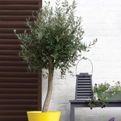 Sandtex® Exterior 10 Year Gloss Paint Chestnut Brown - 2.5L -Paint And Wallpaper Shop 12809793 1464871561257353