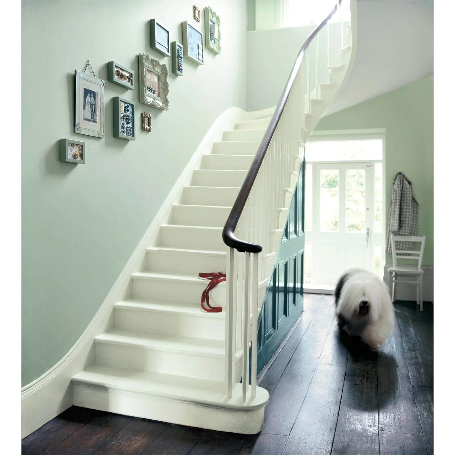 Dulux Matt Emulsion Paint Willow Tree - 5L 10 Dulux Matt Emulsion Paint Willow Tree - 5L - Image 8