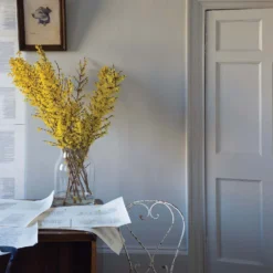 Farrow & Ball Full Gloss Paint Purbeck Stone - 750ml -Paint And Wallpaper Shop 12810908 2434909948098522