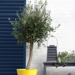 Sandtex® Rapid Dry Gloss Paint Oxford Blue - 750ml -Paint And Wallpaper Shop 12813508 1804951366892655