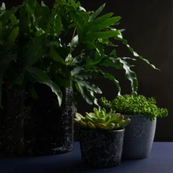 Craig & Rose Artisan Crackle Effect Spray Paint - White - 400ml -Paint And Wallpaper Shop 12817542 9914833199741446