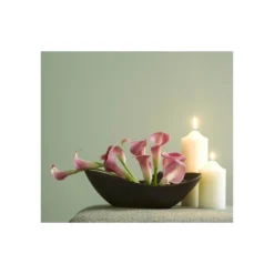 Craig & Rose 1829 Chalky Emulsion Paint Esterhazy - Tester 50ml -Paint And Wallpaper Shop 12821010 8094832990656449