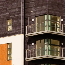 Sadolin Classic All Purpose Woodstain Jacobean Walnut - 2.5L -Paint And Wallpaper Shop 12821236 1694951407045600