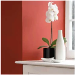 Craig & Rose 1829 Chalky Emulsion Paint Oriental Red - Tester 50ml 7 Craig & Rose 1829 Chalky Emulsion Paint Oriental Red - Tester 50ml -Paint And Wallpaper Shop 12821259 9944833172753116