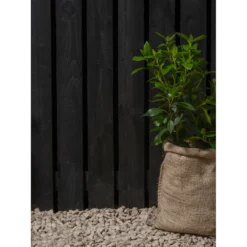 Ronseal Fence Life Plus Paint Tudor Black Oak - 5L -Paint And Wallpaper Shop 12833707 3314944410694045