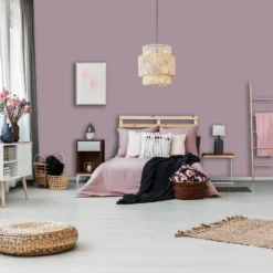 Homebase Tough & Durable Matt Emulsion Paint Antique Plum - 2.5L -Paint And Wallpaper Shop 12837054 1664833205703922