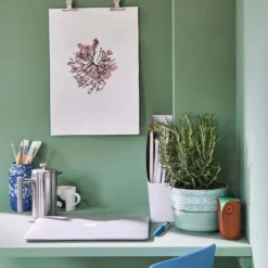 Farrow & Ball Full Gloss Breakfast Room Green - 2.5L -Paint And Wallpaper Shop 12844018 7394905529610400