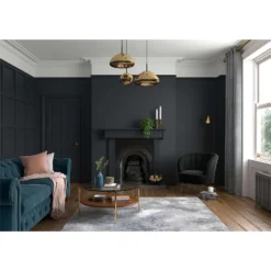 Dulux Heritage Matt Emulsion Paint Ravens Flight - Tester 125ml 12 Dulux Heritage Matt Emulsion Paint Ravens Flight - Tester 125ml -Paint And Wallpaper Shop 12886128 6234843801558521