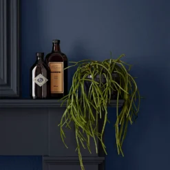 Crown Easyclean® Mouldguard+ Bathroom Mid Sheen Washable Multi Surface Paint Midnight Navy® - 2.5L 11 Crown Easyclean® Mouldguard+ Bathroom Mid Sheen Washable Multi Surface Paint Midnight Navy® - 2.5L -Paint And Wallpaper Shop 12886764 1824853415644115