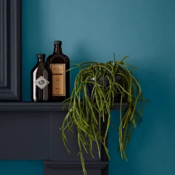 Crown Easyclean® Mouldguard+ Bathroom Mid Sheen Washable Multi Surface Paint Teal® - 2.5L -Paint And Wallpaper Shop 12886785 1744853415906324