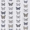 Organic Textures Jewel Butterflies Grey Wallpaper -Paint And Wallpaper Shop 13120812 1224866369470895