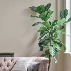 Laura Ashley Eggshell Paint Soft Natural - 750ml -Paint And Wallpaper Shop 13134803 1784939287662154