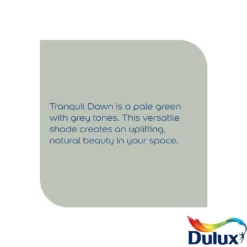 Dulux Easycare Bathroom Soft Sheen Paint Tranquil Dawn - 2.5L -Paint And Wallpaper Shop 14235068 2065036375598486